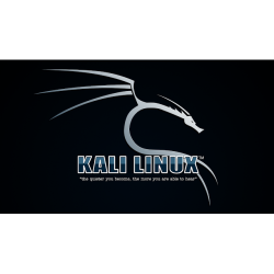 Установка Kali Linux