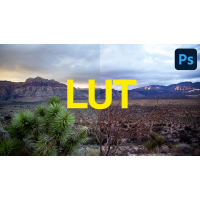 Установка LUTs Avid Media Composer