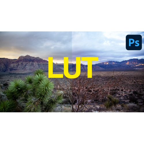 Встановлення LUTs Avid Media Composer